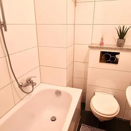 Mit Kochnische Oder Wohnkueche Und Bad Appartement *