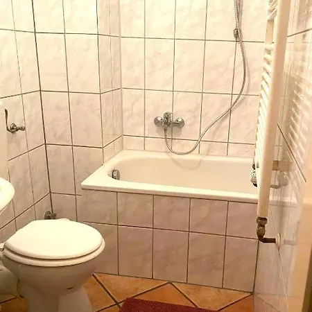 Mit Kochnische Oder Wohnkueche Und Bad Appartement *